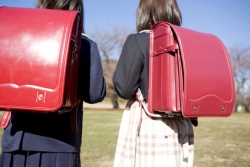 Restauration scolaire: équilibre nutritionnel obligatoire