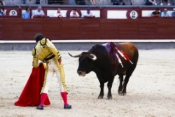 La Corrida jugée conforme à la Constitution